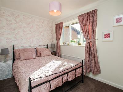 Picture 14